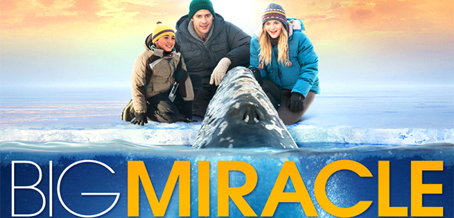 big-miracle-655x315.jpg
