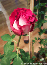 000a72.jpg