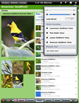 ibird2.jpg
