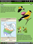 ibird1.jpg