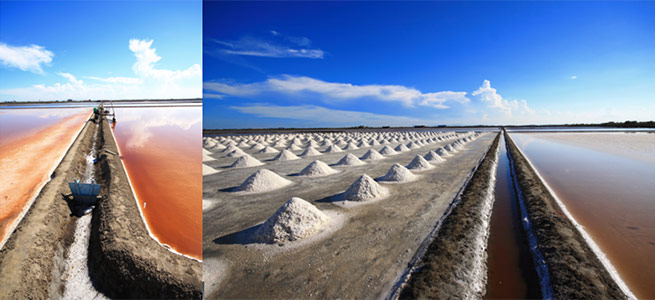 salt01.jpg