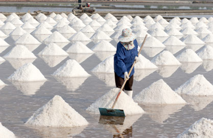 salt05.jpg