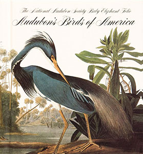 audubon.jpg