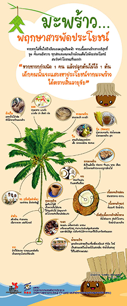 coconut-02.jpg