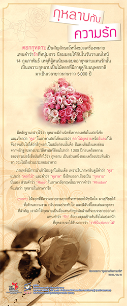 ROSE-01.jpg