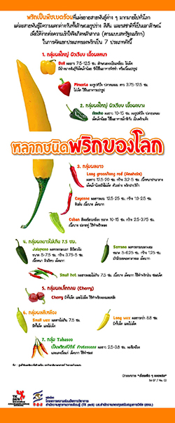 HOT-Chilli-01.jpg