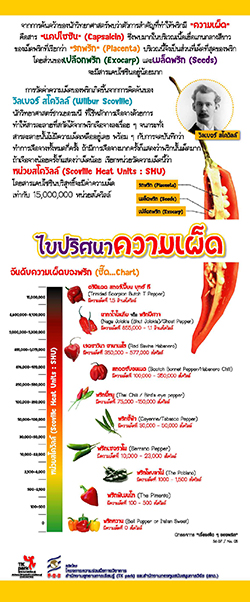 HOT-Chilli-02.jpg