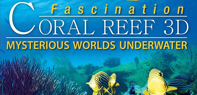underwater.jpg