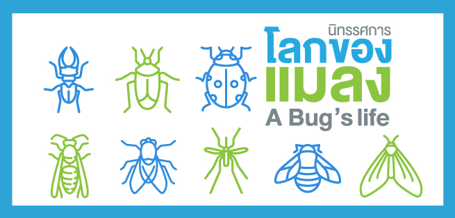 BUG-655x315.jpg