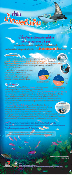 SEA-02.jpg