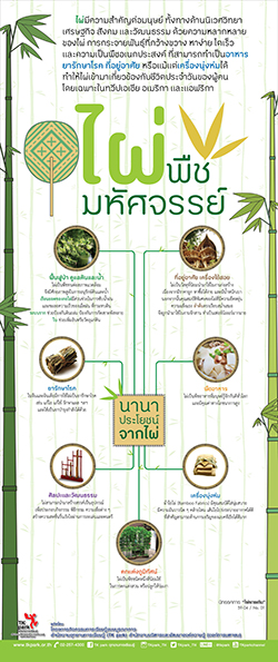 BamBoo-01.jpg