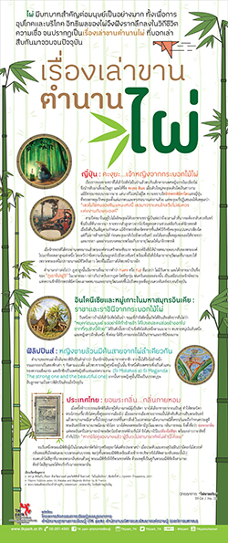 BamBoo-02.jpg