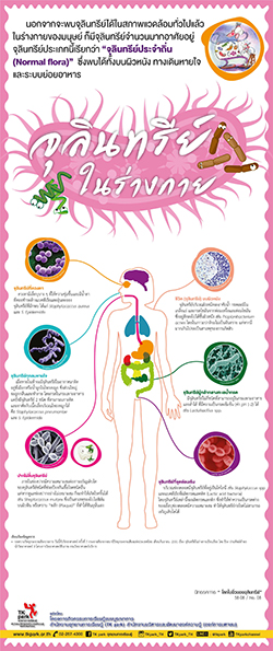 Microorganisms-02.jpg