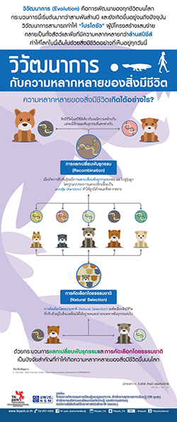 3000-million-years-02.jpg