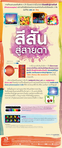 Color-01.jpg