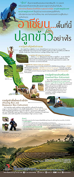 RICE-Asean-02.jpg