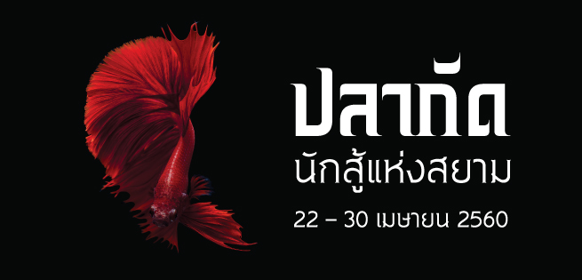 fish_655x315px.jpg