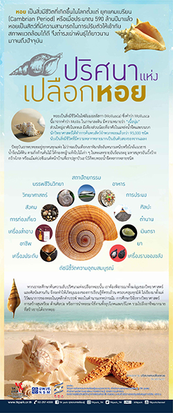 Secret-of-Shells-01.jpg