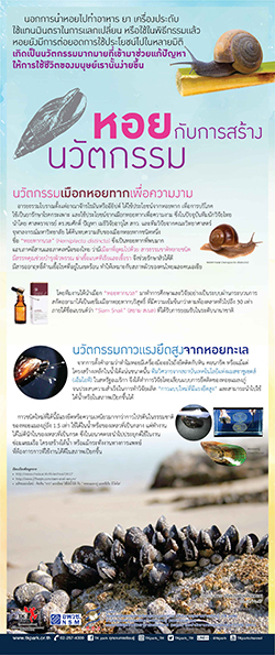 Secret-of-Shells-02.jpg