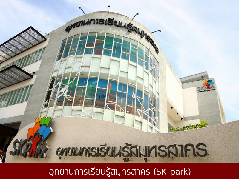 sk003.jpg