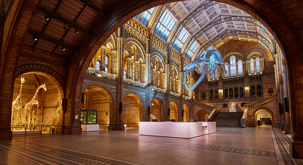natural-history-museum-interiors-cultural_dezeen_2364_col_0.jpg
