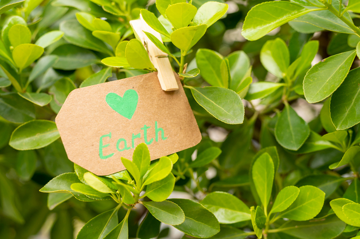 ZeroWaste-717-2.jpg