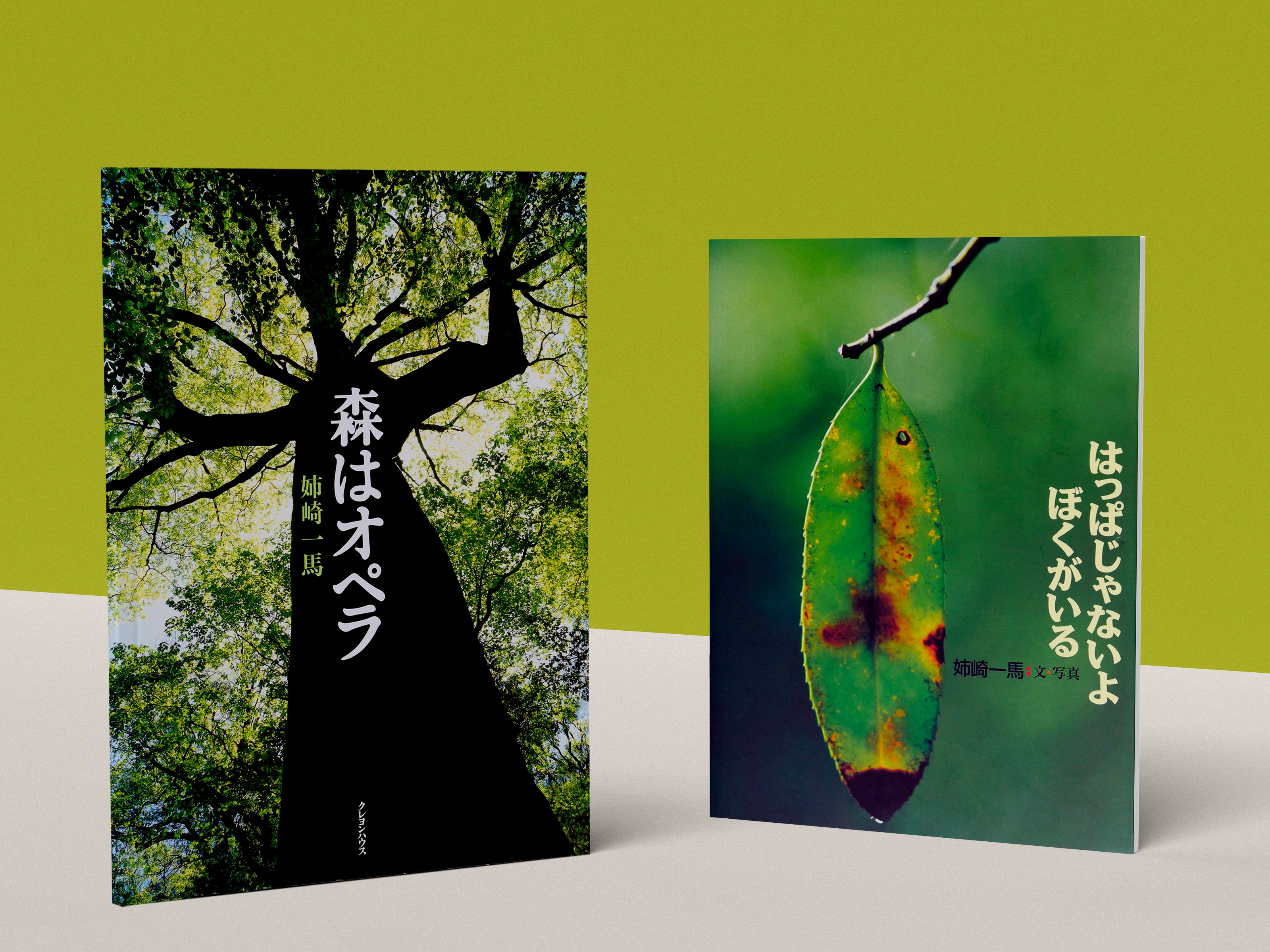 Kazuma-book_04.jpg