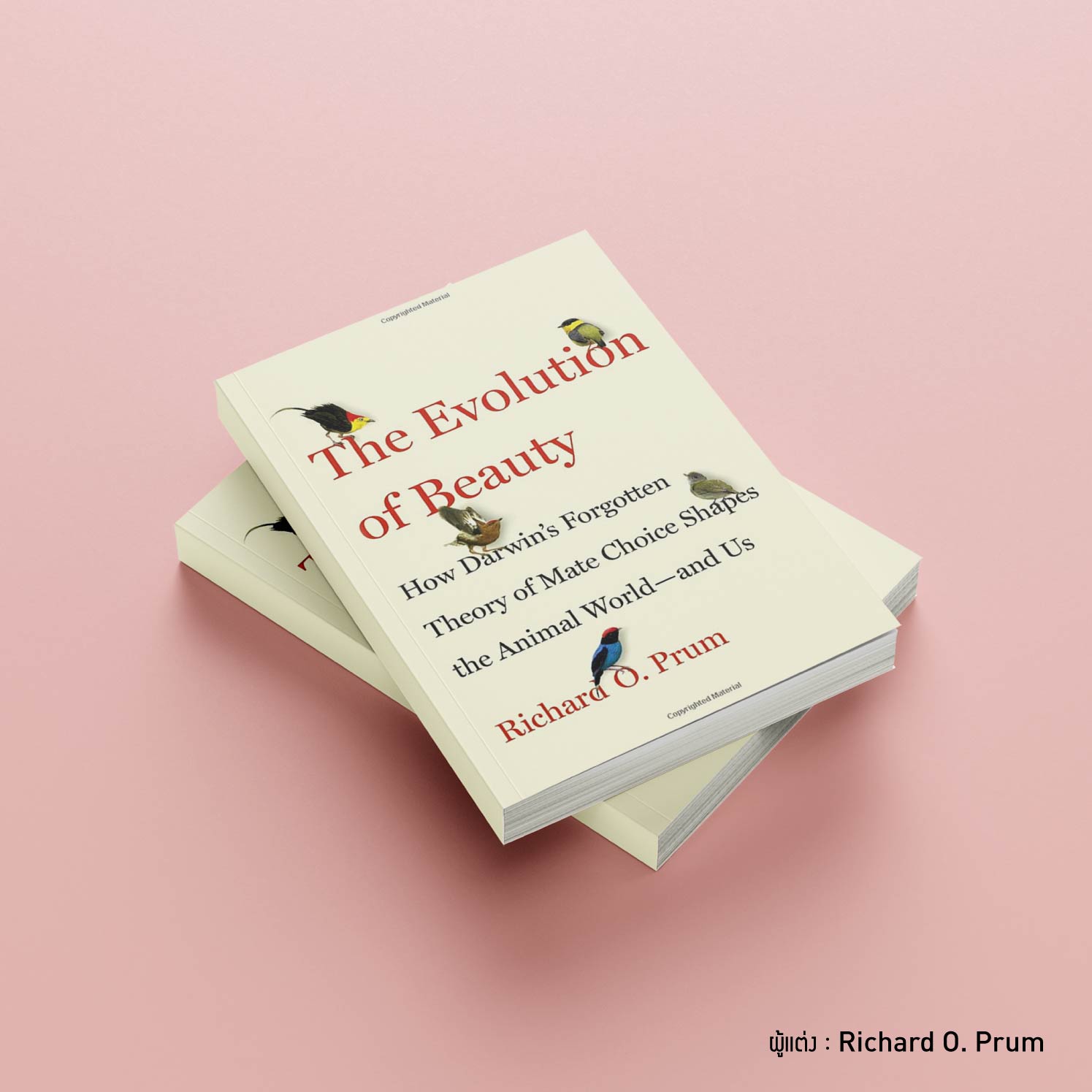 LoveBook-08.jpg