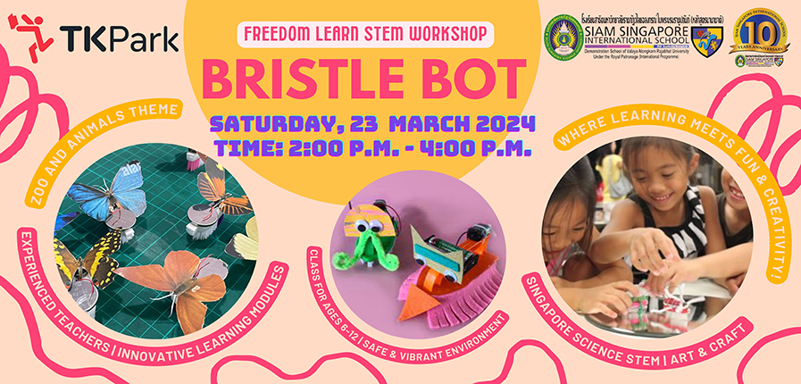 SSIS-Bristle-Bot-TK-Website-Last-Revised-for-Real.jpg