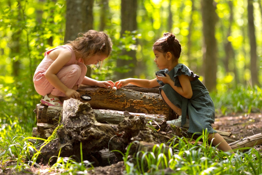 curious-kids-participating-treasure-hunt-(1).jpg