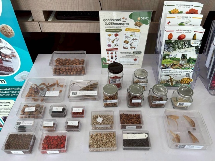 สาระท้องถิ่นภาคเหนือ-fest-(13).jpg
