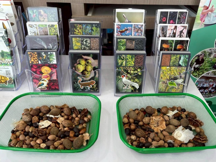 สาระท้องถิ่นภาคเหนือ-fest-(16).jpg
