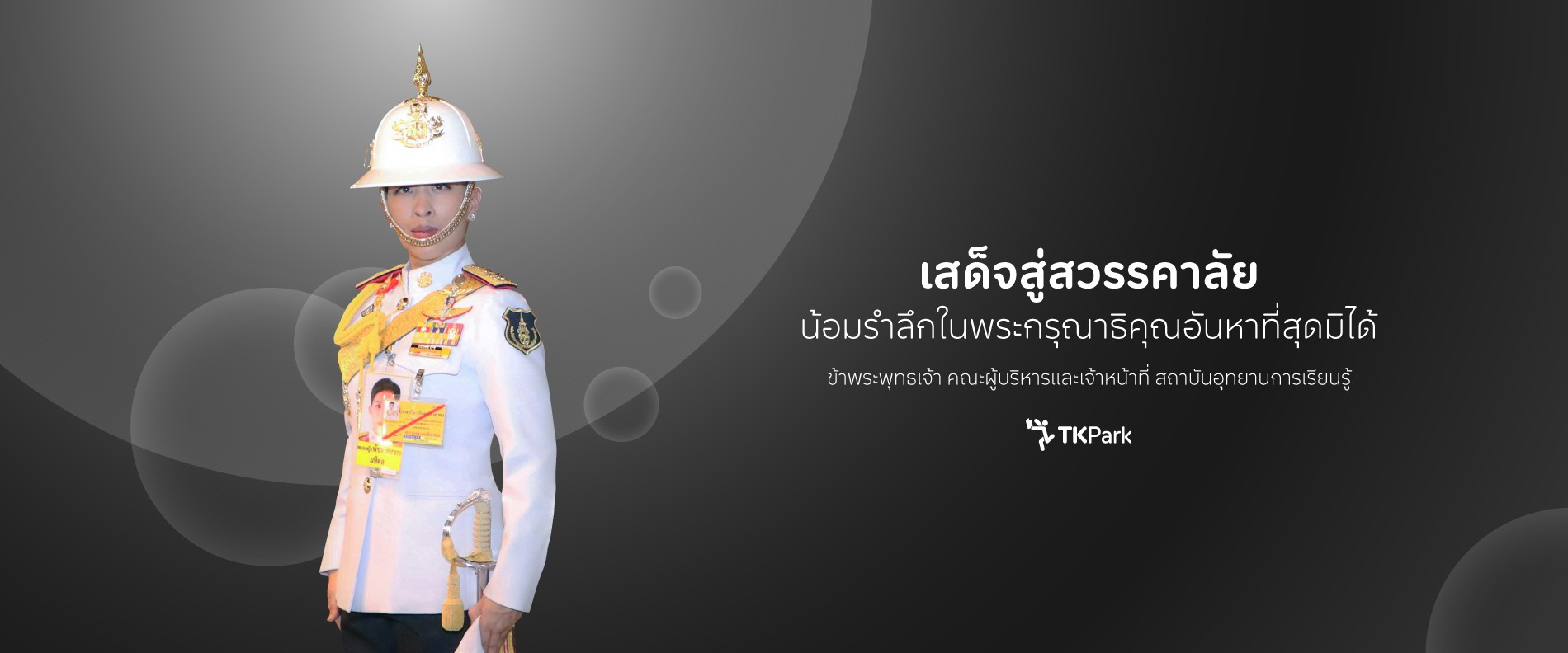 Princess-Pass-V2-Web-1900x792